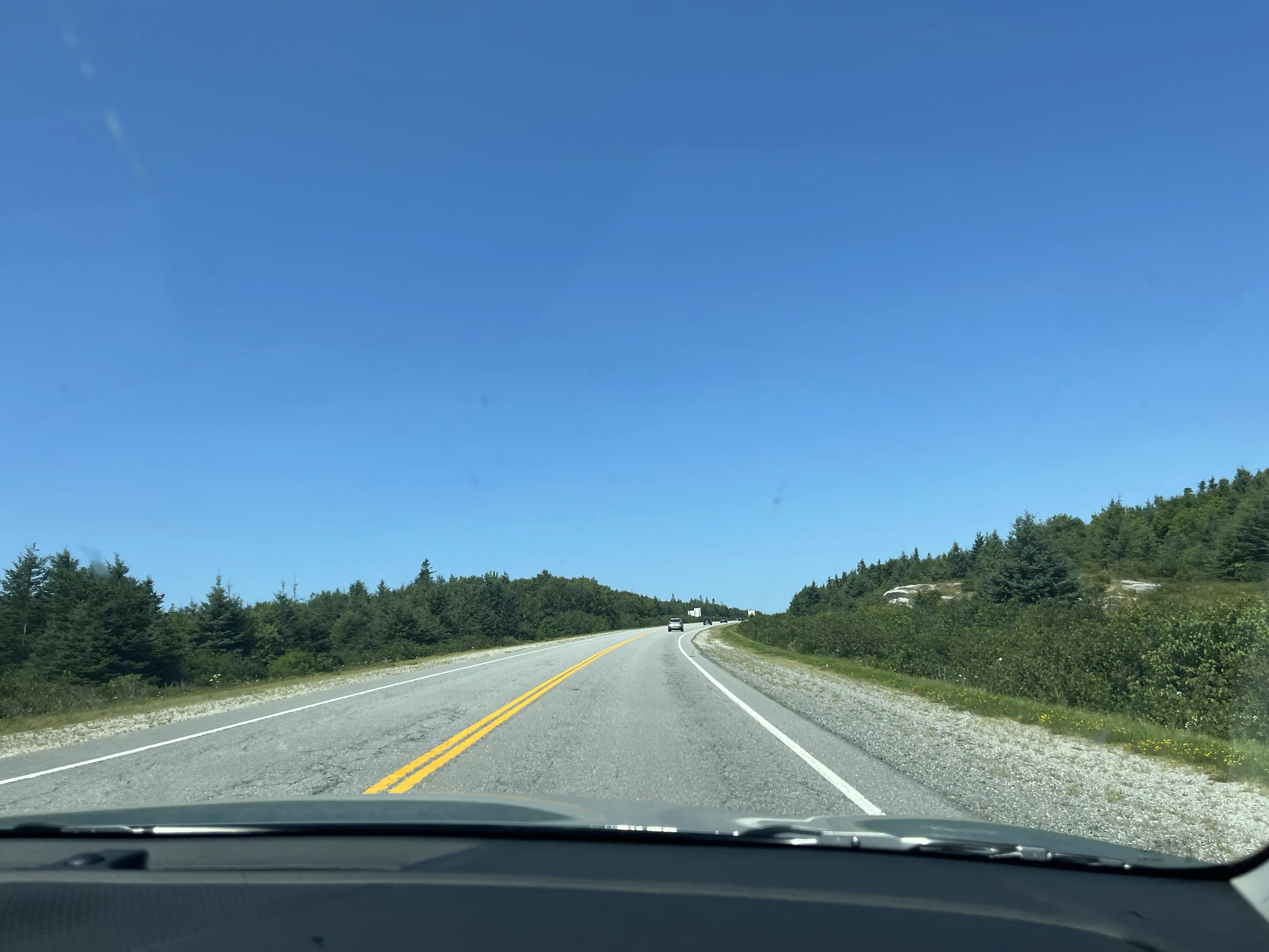 Blick durch die Windschutzscheibe auf einen zweispurigen Highway in Nova Scotia, links und rechts dichter Nadelwald, darüber wolkenloser blauer Himmel